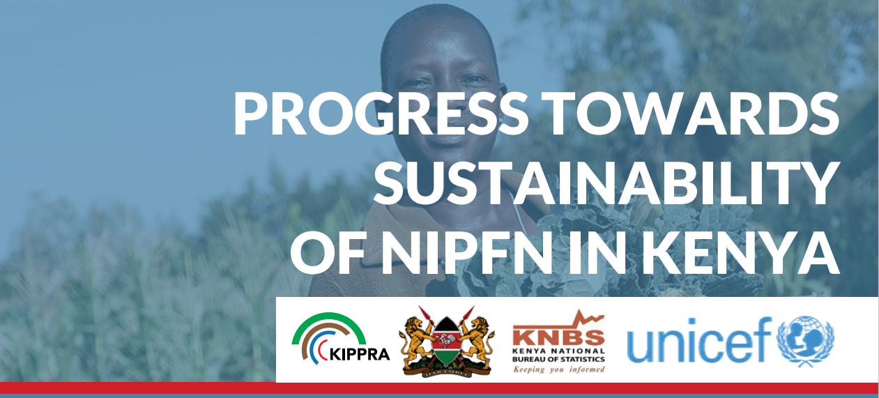 Read more about the article NIPFN Kenya Holds Workshop to Develop Sustainability Plan